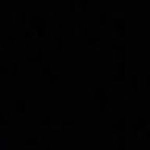 Meet your Posher, Ridar